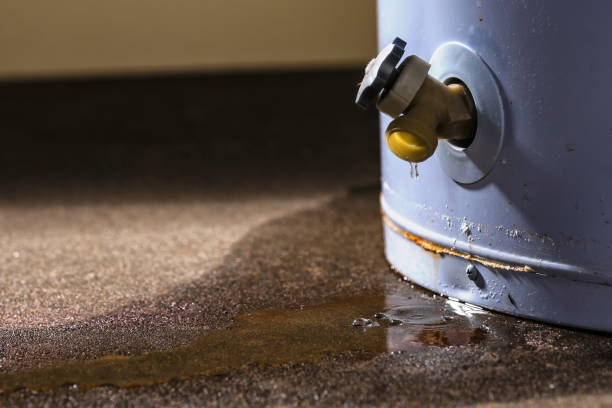 Best Carpet water damage restoration  in Cajahs Mountain, NC