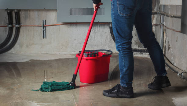 Best Local water damage restoration  in Cajahs Mountain, NC