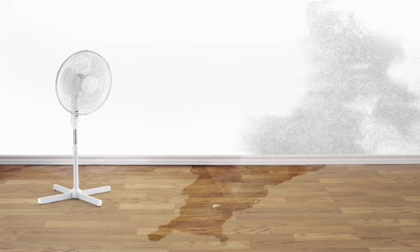 Best Emergency water damage restoration  in Cajahs Mountain, NC