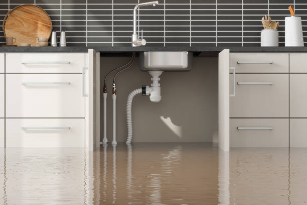 Best Sewage cleanup and water damage restoration  in Cajahs Mountain, NC